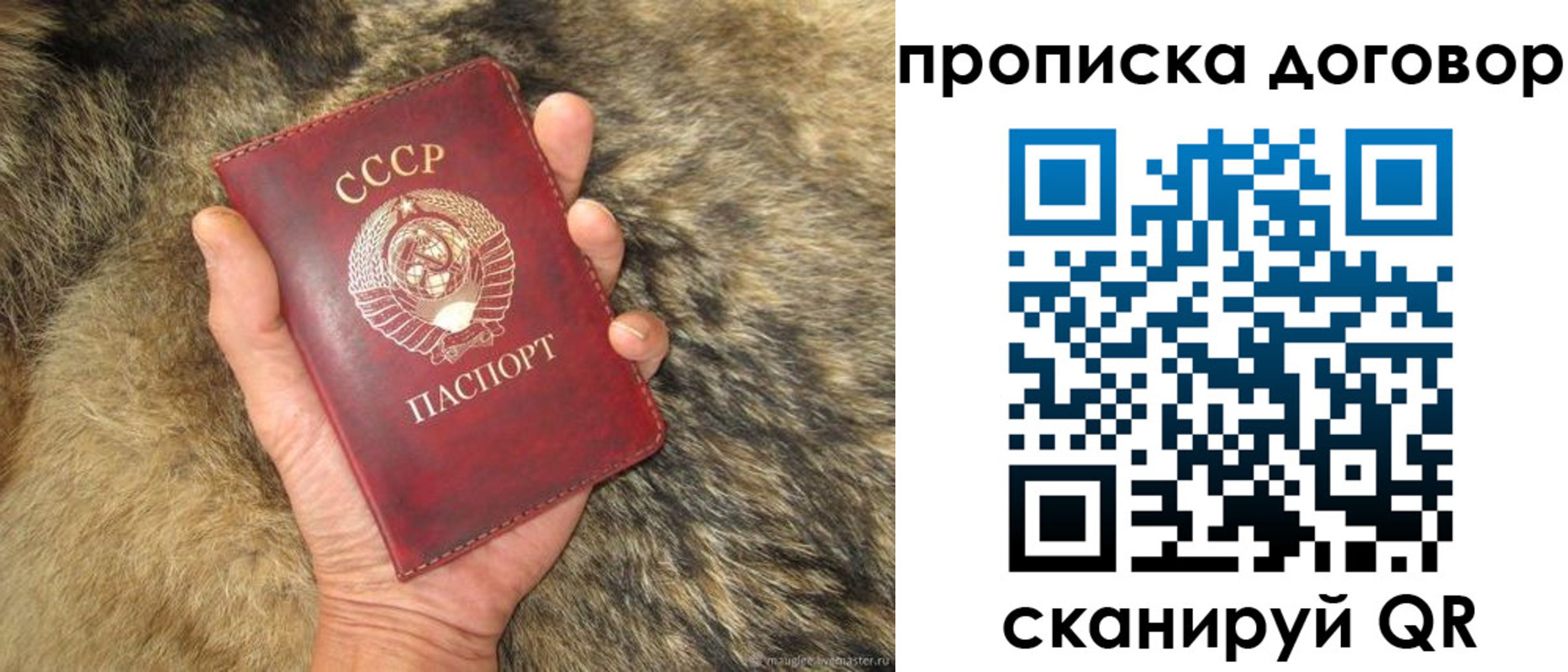 прописка регистрация в Хвалынске